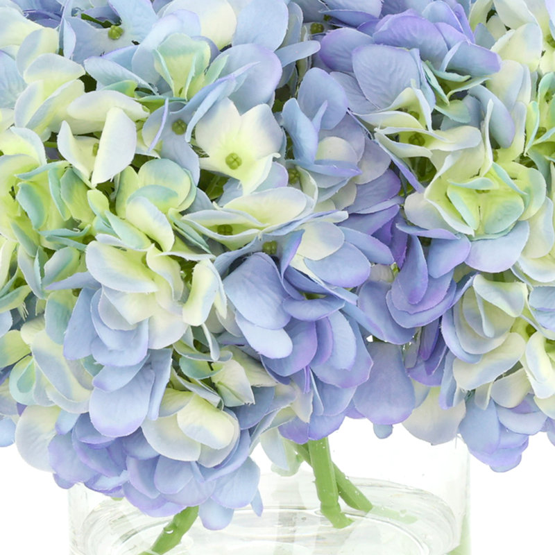 Hydrangeas Arranged in a Glass Vase, Blue/Green