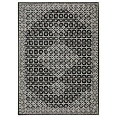 Aldred Oriental Indoor Rug