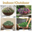 Pot de fleurs extérieur rond en polyrésine Ascend 20,75 po x 20,75 po x 11,5 po Ascend-1780992737-1780992741-1833277701
