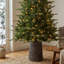Sapin de Fraser Jasper Elite avec DEL