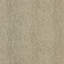 Feather 7.75" x 23.38" Decorated Glass Tile-1999154406
