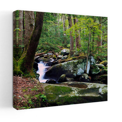 Lush Foliage Along Rocky Leconte Creek Great Smoky Mountains National Park Tennessee Usa. Peaceful Abstract Contemporary Moss Nature Landscape Art