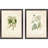 Queen's Lace I S/2