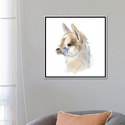 «Side Portrait Llama» par Lanie Loreth - reproduction d'art