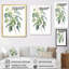 Vert, blanc, minimalisme, eucalyptus Essence I-199174071-199174061