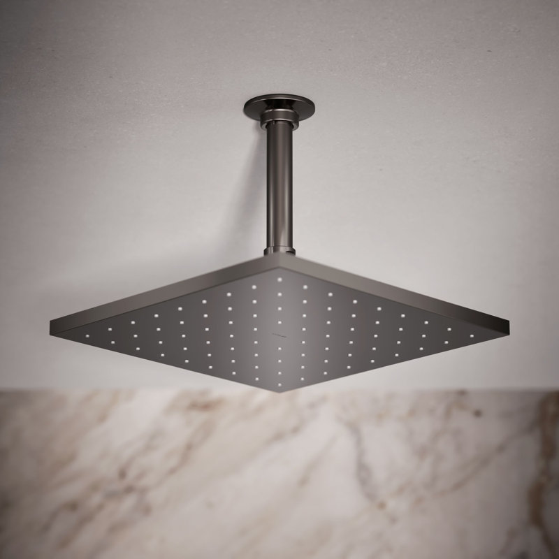 Rain Shower Head, Vibrant Titanium