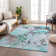 Machine Washable Indoor/Outdoor Jenning ACN2264 Floral Rug
