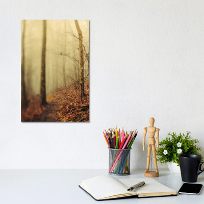 Trees In Fog III - Wrapped Canvas Print