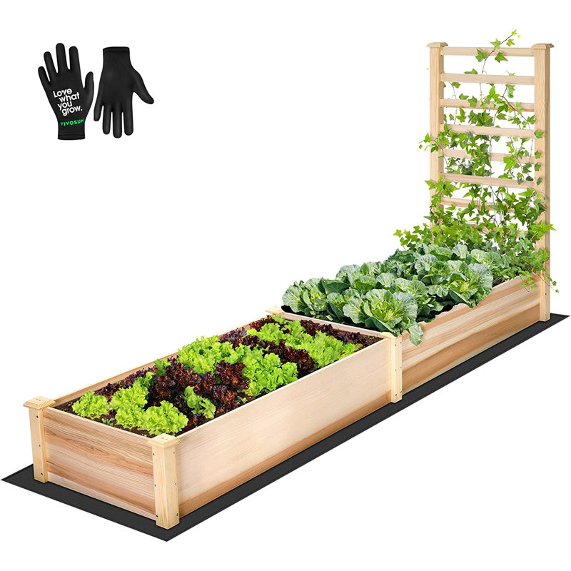 Outdoor Raised Garden Bed with Trellis for Vine Climbing