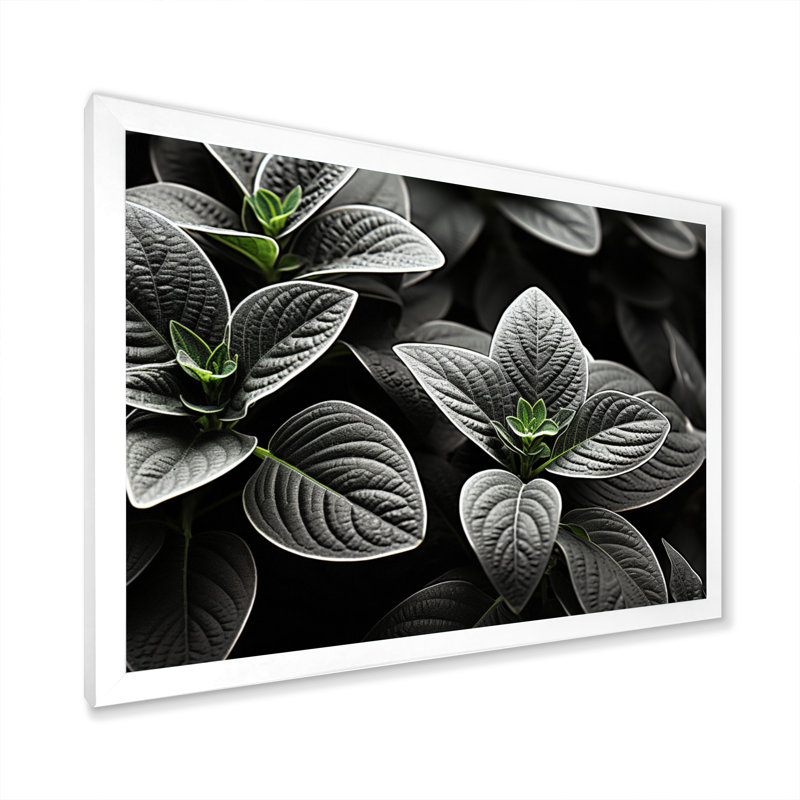 Plantes grises, sérénité botanique sur toile, H 24 po x l 32 po x P 1 po, Cadre photo blanc