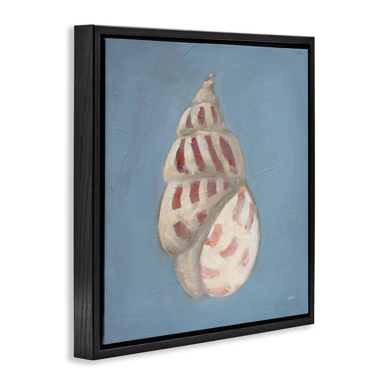 Soft Sea Cowrie Shell Floating Frame, design by Julia Purinton, Jet Black Floater Frame, 18" H x 18" W