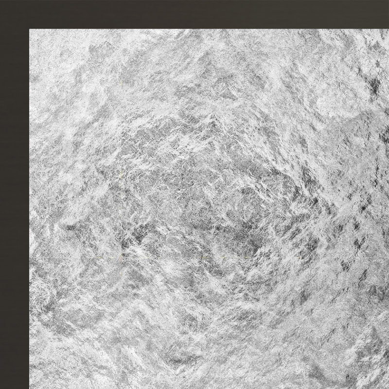 Porte de douche à cadre pivotant l 29 "x H 65" Tides, Verre obscure, Argent