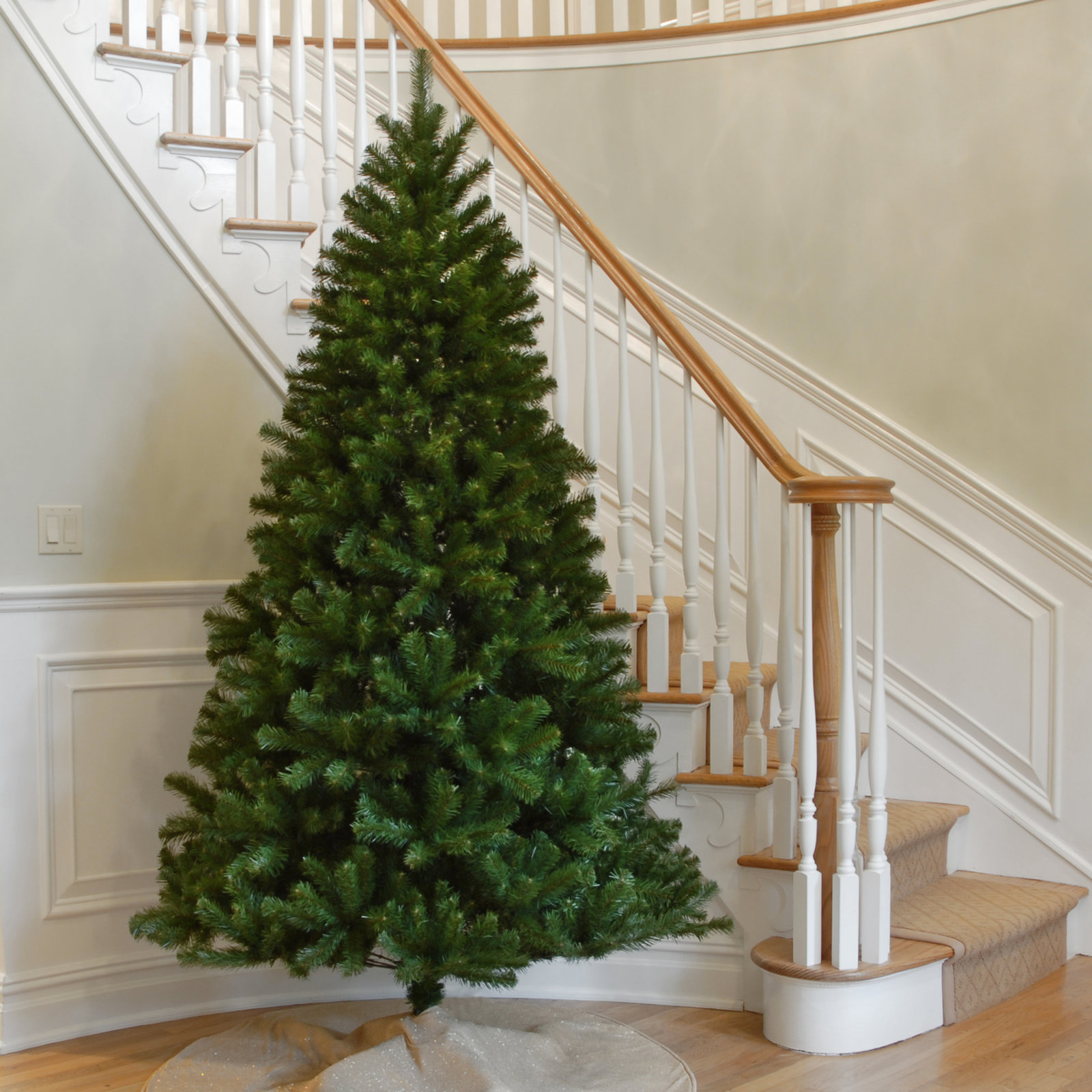  North Valley Spruce Tree, 7 FT
