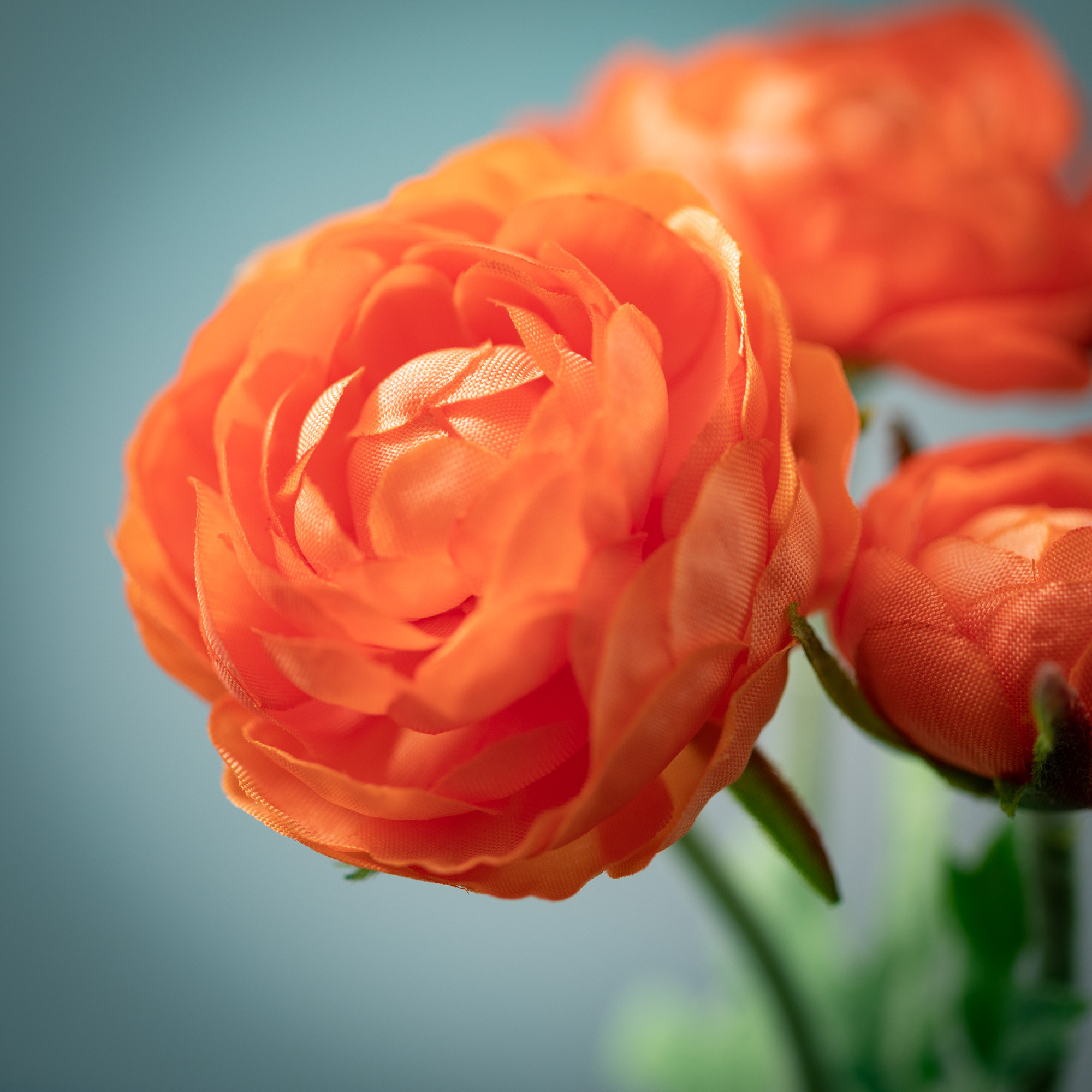 Vibrant Bloom 10.5" Lilac Ranunculus Spray, 10.5" H x 3" W x 2" D, Orange