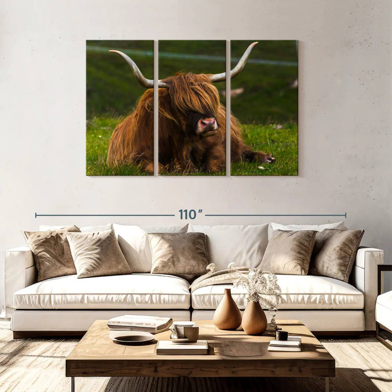 Brampt  Highland Cow On Grass, 48" H x 74" W