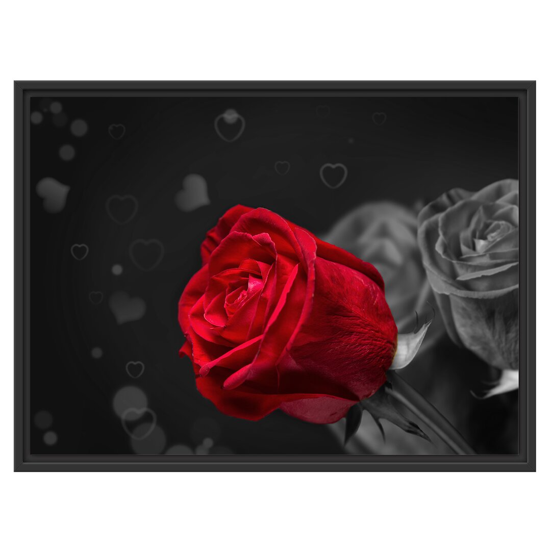 Gerahmtes Holzbild Red Roses for Valtenine's Day