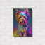 «The Soph sophistiqué Yorkie» par Dean Russo-1891270007