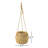 Omalley Hanging Planter