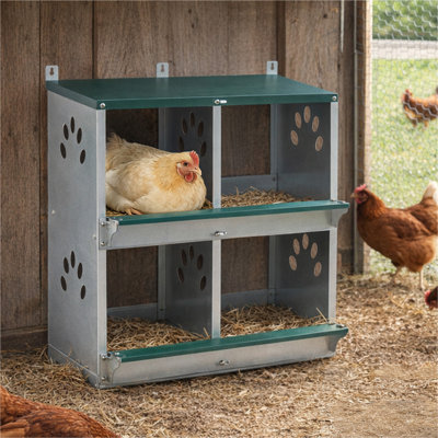 Boîtes de nidification de poulet à 4 compartiments, boîtes de nidification murales en métal pour différentes races