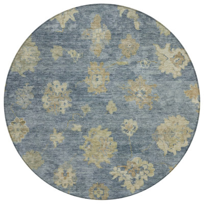 Machine Washable Indoor/Outdoor Chantille ACN2305 Global Rug
