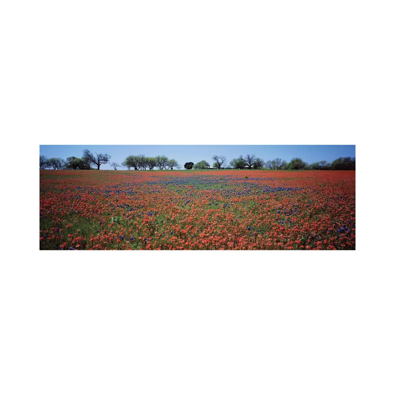 Indian Paintbrush & Bluebonnets, Texas by Panoramic Images - Wrapped Canvas Panoramic Print