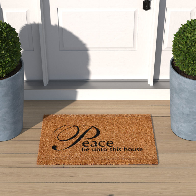 Aleynah Non-Slip Outdoor Doormat, 24" W x 36" L