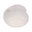Truette 11'' Handmade Ceramic / Porcelain Table Vase