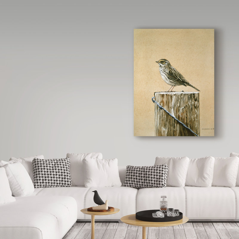 «Savannah Sparrow» d'Etelca, impression sur toile tendue, H 24 po x l 18 po x P 2 po
