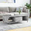 Bachar Four Leg Coffee Table with Storage-1762701627