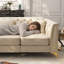 Canapé Chesterfield de 61,8 po de largeur-133238349