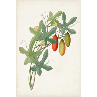 Botanical of the Tropics III - Painting