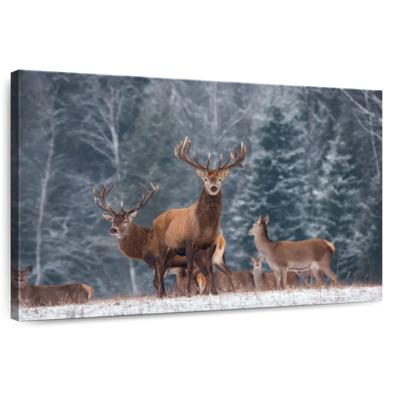 Cerf d'hiver Brampt, H 16 po x l 24 po