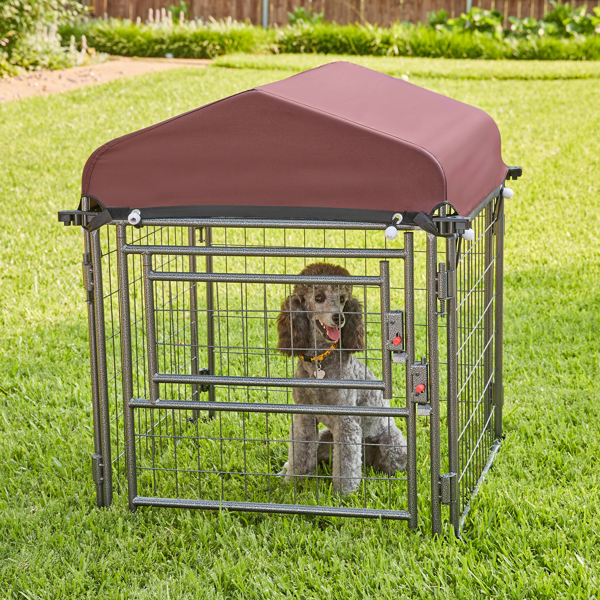 2 x 3 sales dog crate