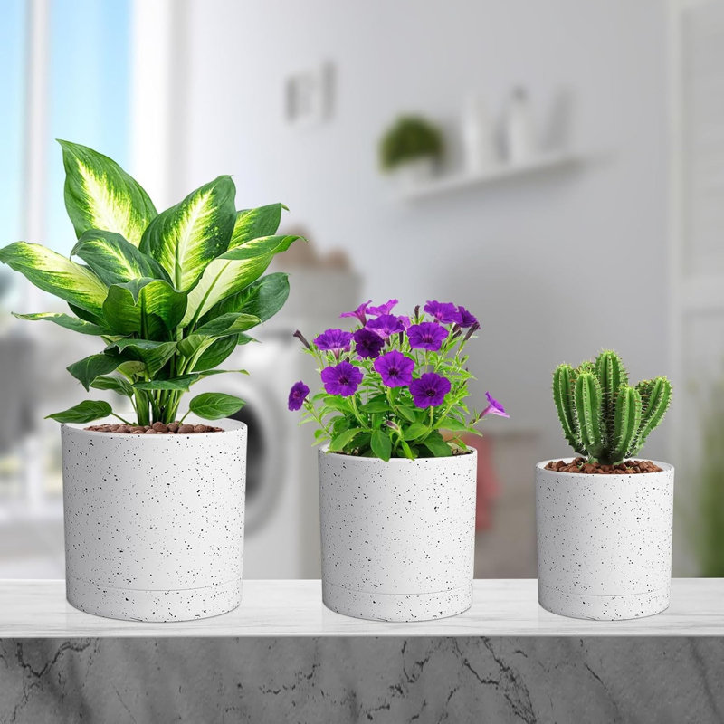 Paquet de 5 pots de plantes en plastique blanc Speckles