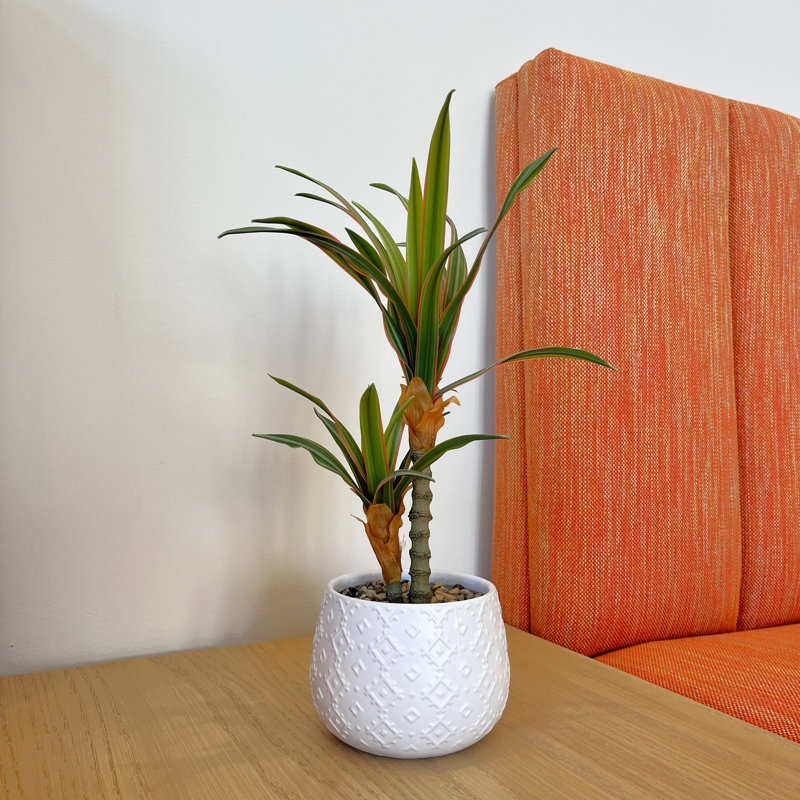 Céramique Real-Touch Yucca