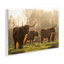 "Longhorns in Foggy Pasture", art mural par Martin Podt