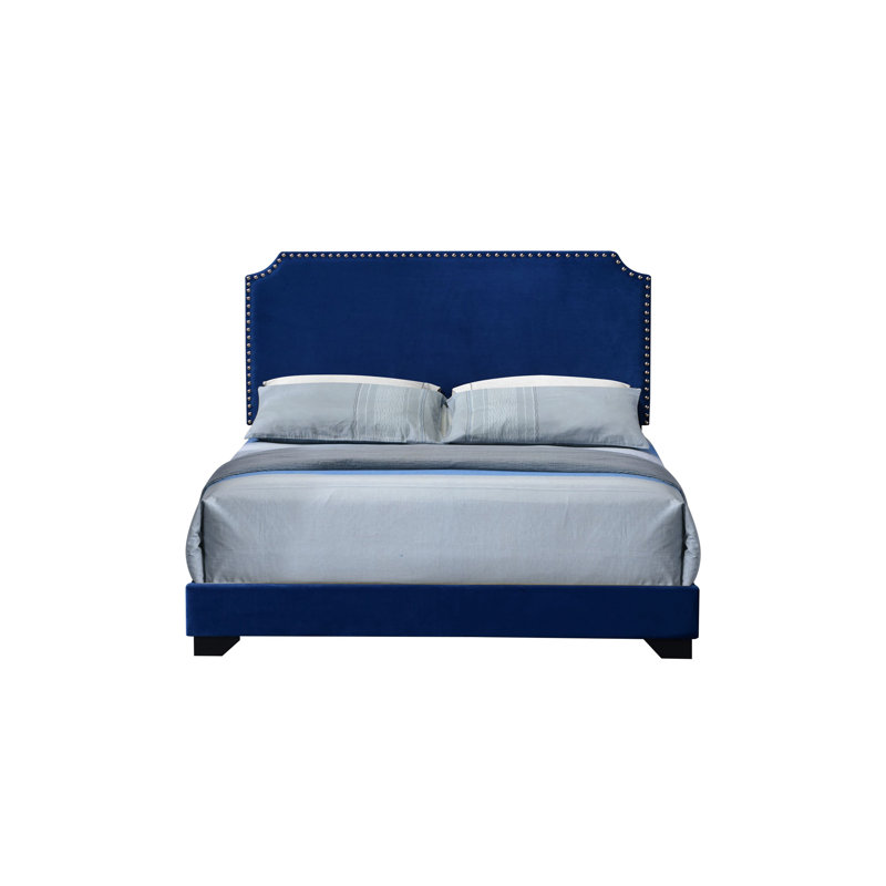 Lit en velours bleu Haemon