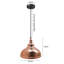 Reinhard 1 - Light Bronze Dome Pendant