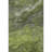 Premium Machine Washable Cerrito AMF599 Green Rug-105076947