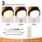 60-inch 3-blade solid wood ceiling fan light