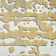 Clava Indoor Rug