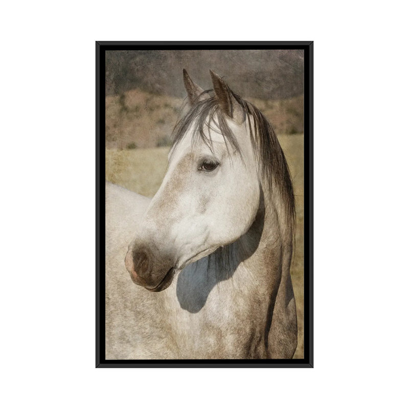 A Watchful Eye by Rhonda Thompson - Floater Frame Print on Canvas