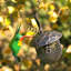 Brentan Metal Hanging Decorative Bird Feeder
