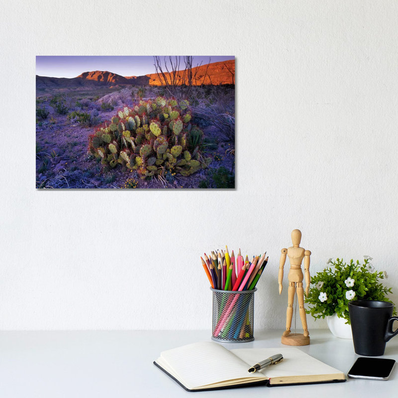 Opuntia in Chihuahuan Desert Landscape, Big Bend National Park, Texas 1 Piece Wrapped Canvas Wall Art