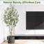 Andromache 180cm Faux Olive Tree Tree in Pot