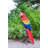 Parrot on Branch Statue
