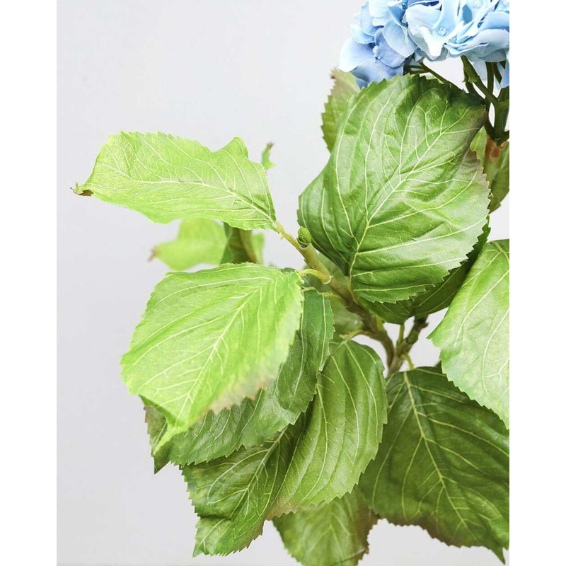 Hortensia double bleu 91 cm, Blue/Purple