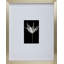 Mikasa 12x15 Inch Walnut MDF Matted Picture Frame for 8x10 Inch Photo-163605334-163605335