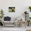 Conception d'art sur toile Stupell Industries Bear & Butterfly in Meadow par Mark Kelso-91305510