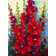 Bursting Floral Polyester 40 x 28 in. House Flag